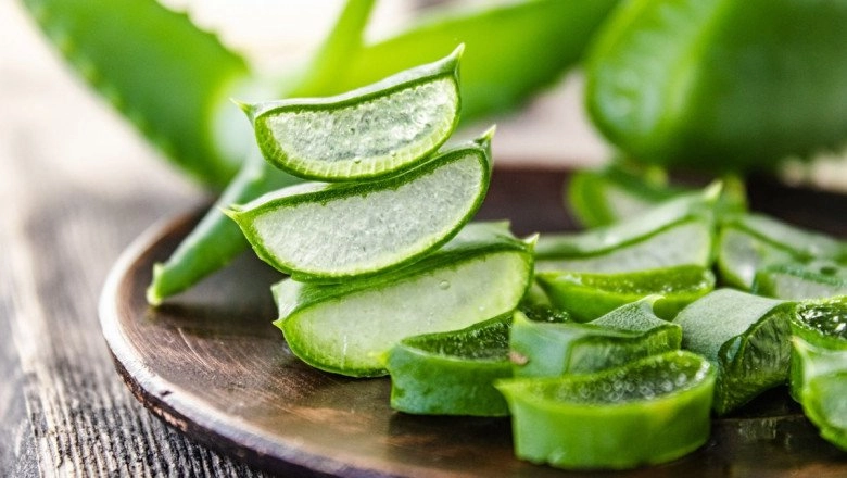 Dưỡng da trắng sáng láng mịn tự nhiên nhờ những cách làm trắng da bằng nha đam siêu đơn giản - 1