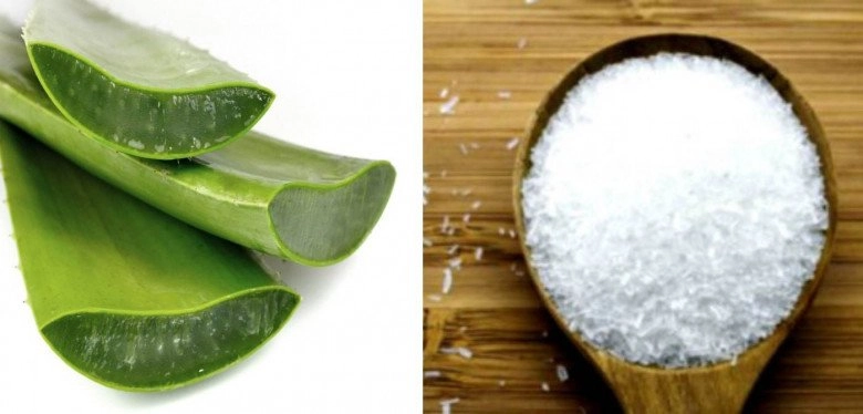 Dưỡng da trắng sáng láng mịn tự nhiên nhờ những cách làm trắng da bằng nha đam siêu đơn giản - 2
