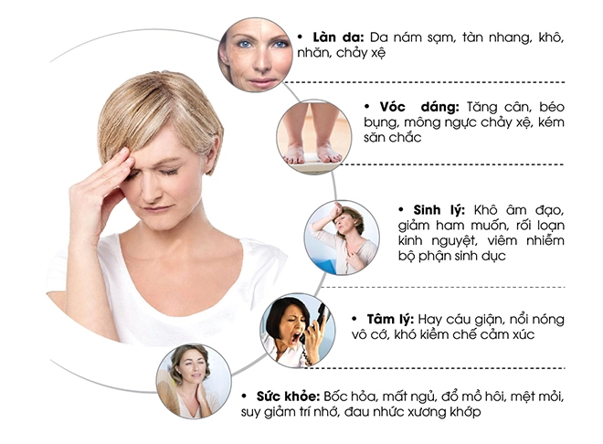 Estrogen - yêu tô quyêt đinh đên nhan săc cua phai đep - 1