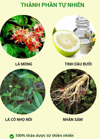 Giải đáp dầu gội phủ bạc nào hiệu quả hiện nay - 4