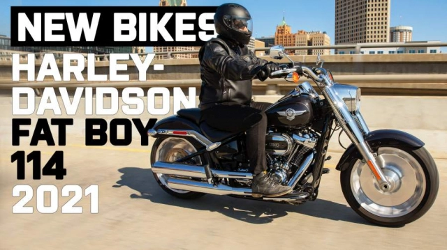 Harley-davidson fat boy 2021 trình làng với động cơ mới nhất và giá bán hơn 630 triệu đồng - 1