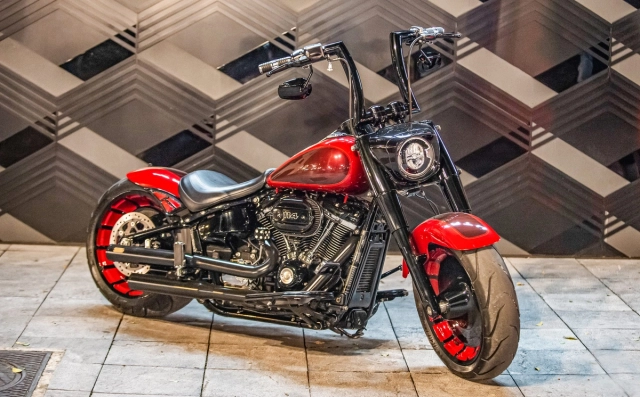 Harley-davidson fat boy đầu tiên độ tay lái cao lạ mắt tại việt nam - 9