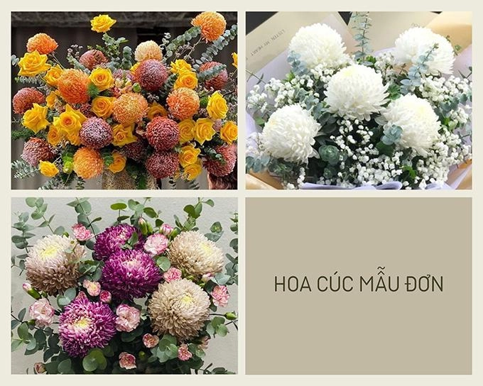 Hoa cúc - phân loại ý nghĩa công dụng và cách trồng giúp hoa nở đẹp - 10