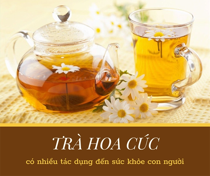 Hoa cúc - phân loại ý nghĩa công dụng và cách trồng giúp hoa nở đẹp - 22