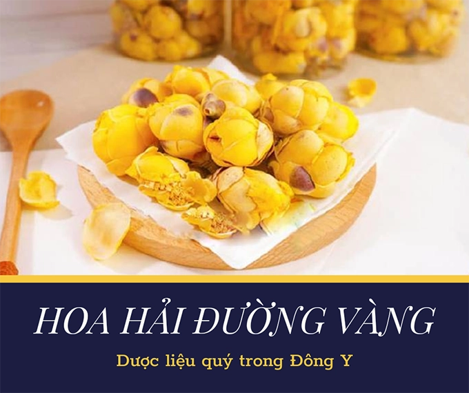 Hoa hải đường ý nghĩa cách trồng và cách chăm sóc để cây ra nhiều hoa - 5