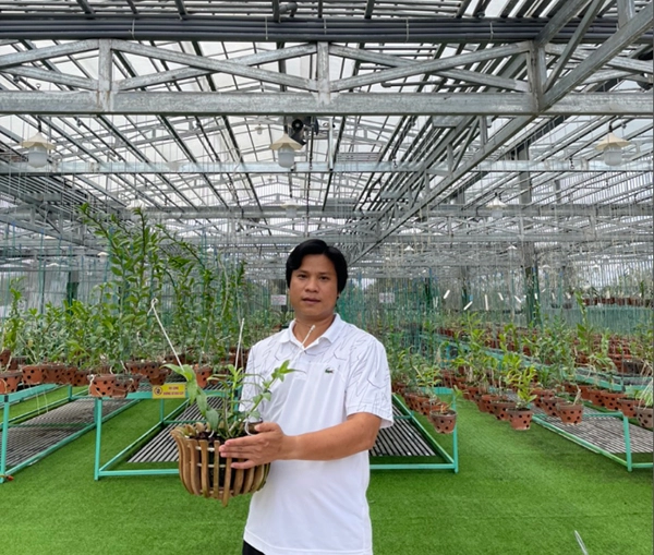 Hoa lan nam đô phát triển bền vững kinh doanh từ nghề trồng hoa lan - 3