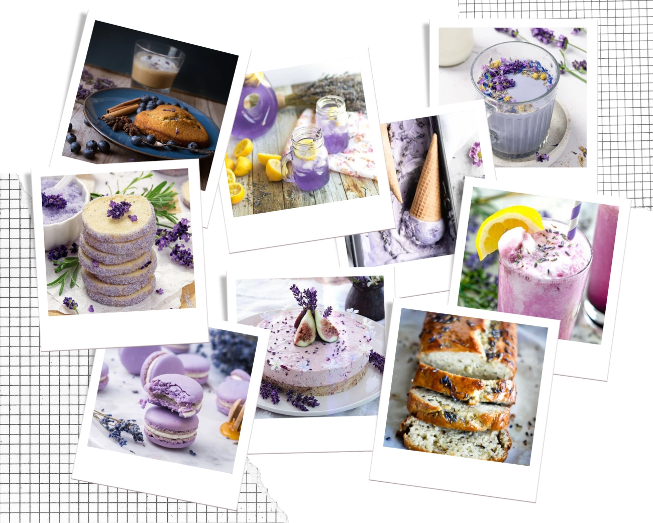 Hoa oải hương - nguồn gốc ý nghĩa cách trồng và chăm sóc hoa lavender - 14