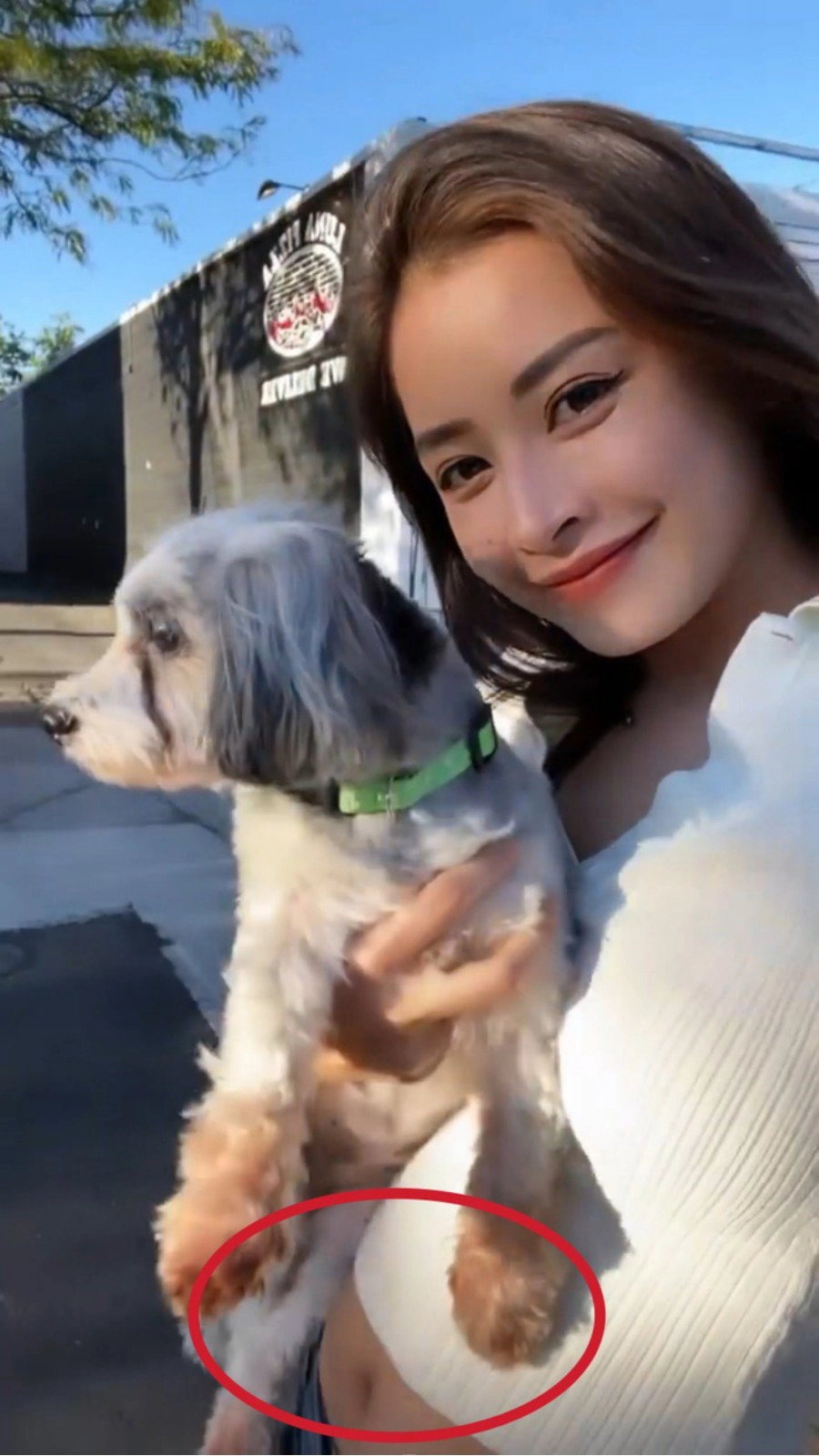 Hương tràm sang mỹ dáng thon ngút ngàn chi pu hơi núng nính nhưng vẫn xinh - 4
