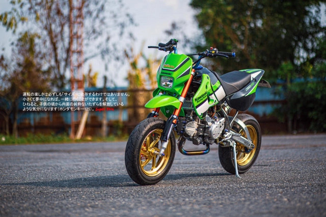 Kawasaki ksr 110 toát ra vẻ nguy hiểm với dàn chân thắng là cắm đầu - 16