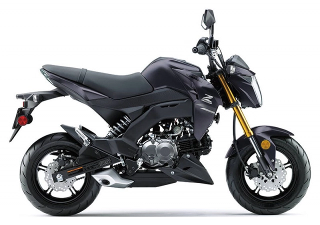 Kawasaki z125 pro 2020 lộ diện với giá bán 742 triệu đồng - 3