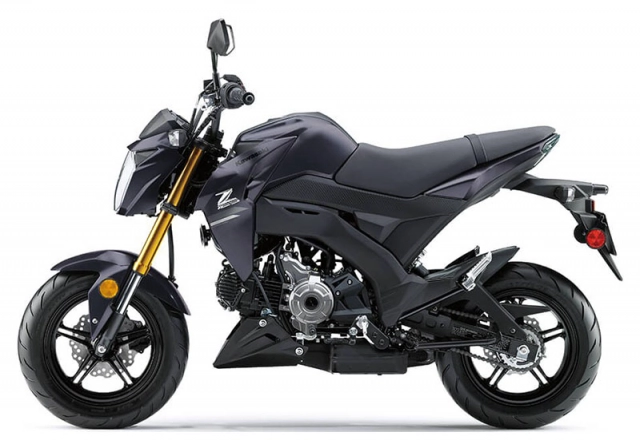 Kawasaki z125 pro 2020 lộ diện với giá bán 742 triệu đồng - 4