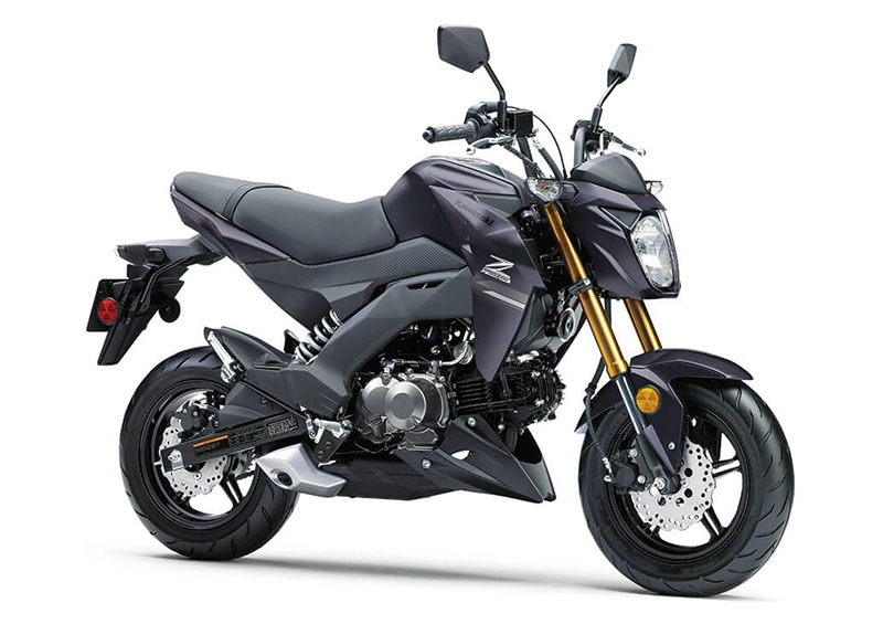 Kawasaki z125 pro 2020 lộ diện với giá bán 742 triệu đồng - 6