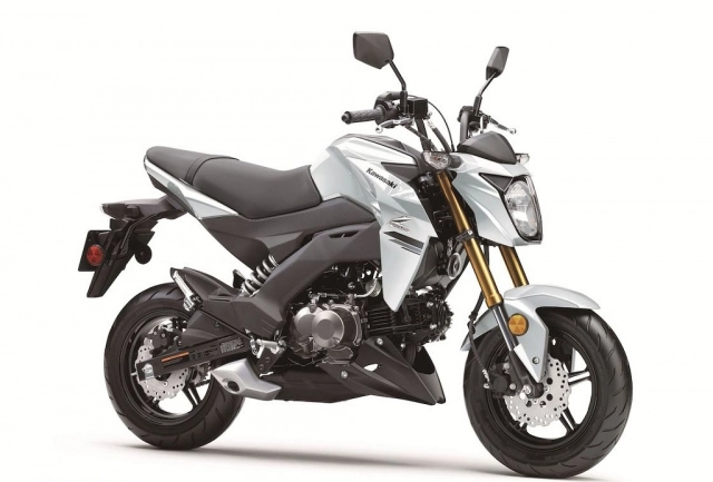 Kawasaki z125 pro 2020 lộ diện với giá bán 742 triệu đồng - 11