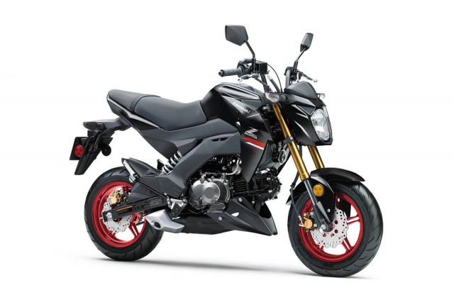 Kawasaki z125 pro 2022 - đàn em z1000 ra mắt với giá gấp 15 lần ex 155 - 13