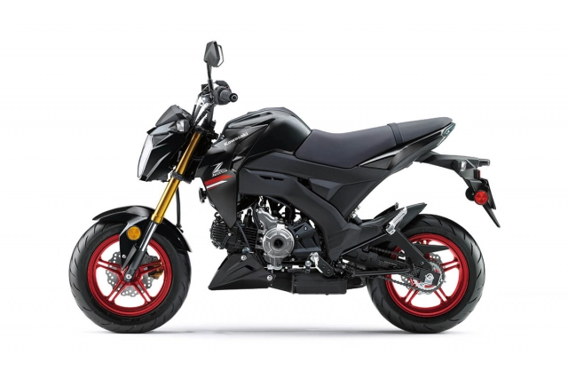 Kawasaki z125 pro 2022 - đàn em z1000 ra mắt với giá gấp 15 lần ex 155 - 14