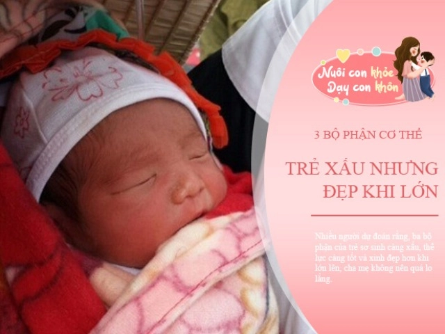 Khác biệt rõ ràng giữa trẻ ngủ và không ngủ trưa bao giờ từ trí tuệ chiều cao đến khả năng miễn dịch - 9