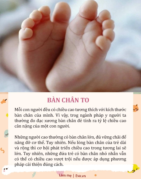 Không cần đợi con lớn muốn biết tương lai trẻ có cao hay không chỉ cần nhìn vào 6 đặc điểm này - 3