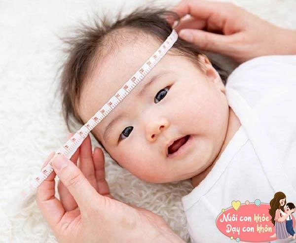 Kích thước đầu ảnh hưởng đến chiều cao của bé làm được 4 điều này con cao lớn nhanh hơn - 3