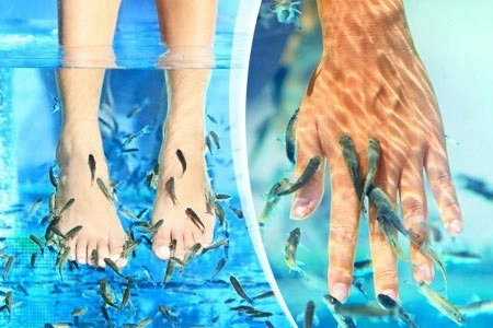Kinh hãi kiểu làm đẹp quái dị - 3
