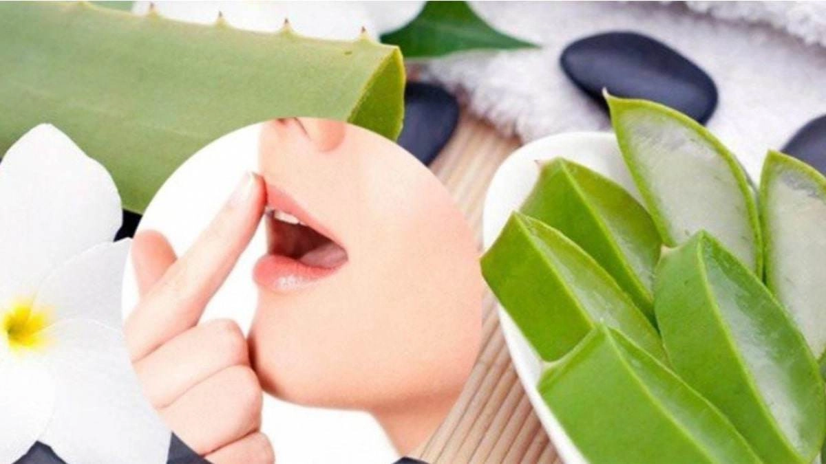 Là con gái nàng nhất định nên nắm vững những bí quyết dưỡng môi đơn giản này - 4