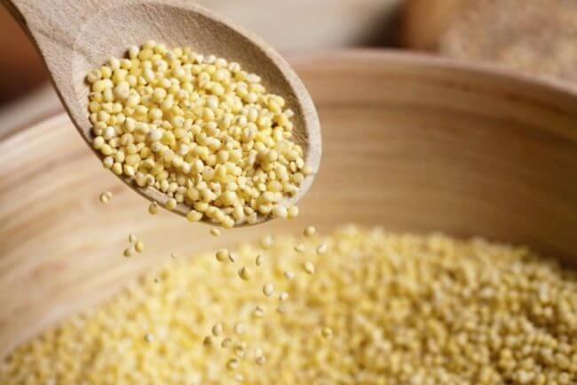 Lạ miệng cùng 3 món cháo hạt kê cho bé ăn dặm - 1