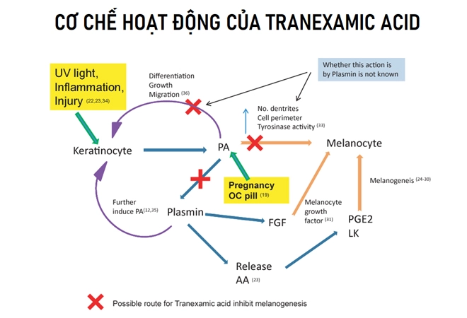 Làm đủ cách mà da vẫn thâm nám bác sĩ da liễu tiết lộ giải pháp nhanh gọn - 3
