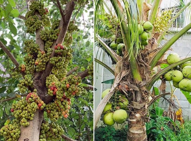 Làm mẹ đơn thân người đẹp tây đô ở biệt thự 2500m2 giấu con chuyện mình là người nổi tiếng - 8