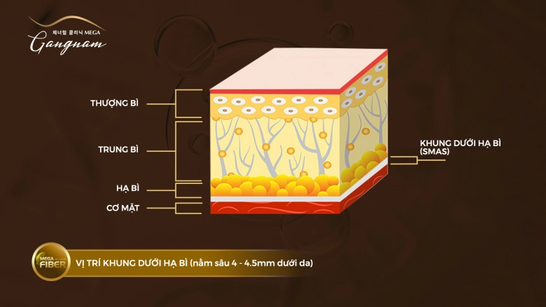 Lấy công nghệ trẻ hóa của tương lai để mở chìa khóa vẻ đẹp của quá khứ - 3