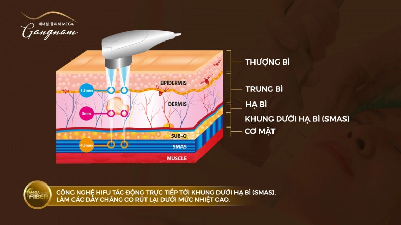 Lấy công nghệ trẻ hóa của tương lai để mở chìa khóa vẻ đẹp của quá khứ - 5