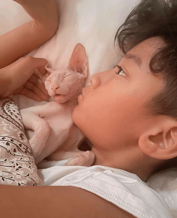 Lệ quyên trương ngọc ánh làm mẹ đơn thân tuổi u40 lột xác như thiếu nữ trai trẻ say đắm - 6