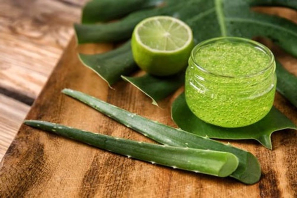 Loại bỏ vùng xỉn màu nhanh chóng với những cách làm trắng da toàn thân bằng nha đam siêu dễ - 2