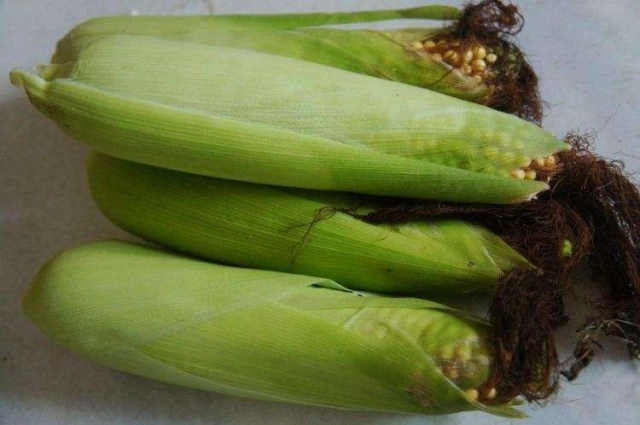 Luộc ngô không cần cho đường thêm thứ này ngô càng mềm ngọt chẳng phải ai cũng biết - 2