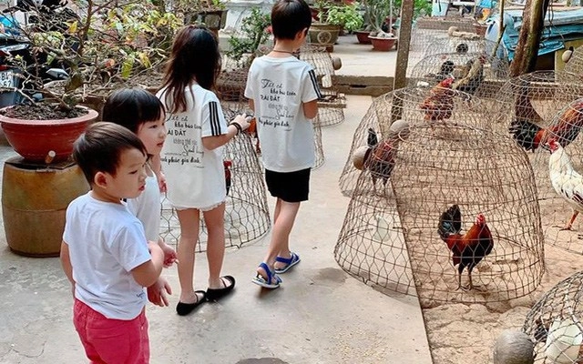 Lý hải bị nghi bí mật có con thứ 5 bà xã thừa nhận bé gọi hà bằng mẹ - 17