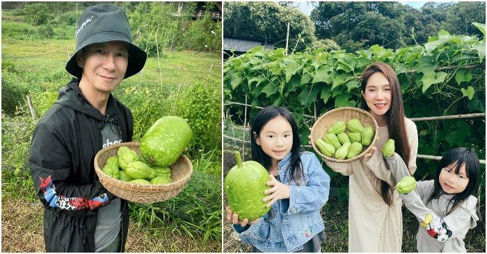Lý hải khoe hình năm hơn 20 tuổi thắc mắctrong 4 con có bé nào giống mình - 8