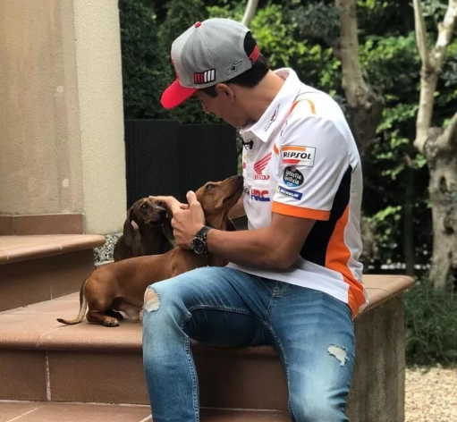 Marc marquez nói gì khi chuẩn bị trở lại motogp 2020 - 4