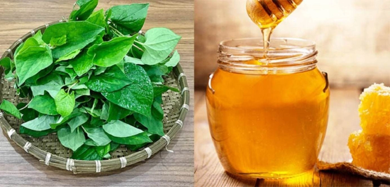Mặt nạ diếp cá giải pháp chăm sóc da tại nhà đơn giản hiệu quả mà chẳng tốn mấy đồng - 2