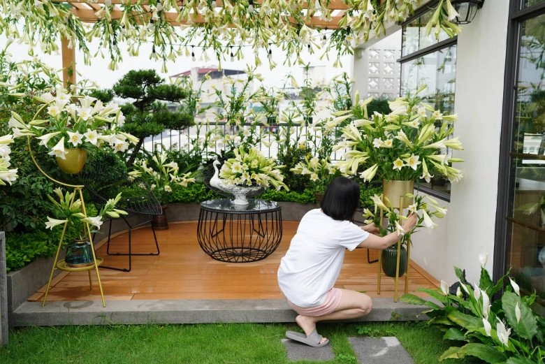 Mẹ đảm hà nội vác 2000 bông hoa loa kèn lên tầng 4 biến ban công thành vườn hoa đẹp mê ly - 5