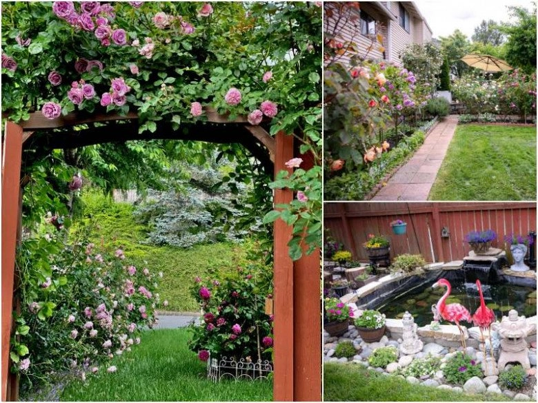 Mẹ việt dành 10 năm làm vườn từ 10m2 trồng rau thơm đến khu vườn cổ tích 1000m2 - 9