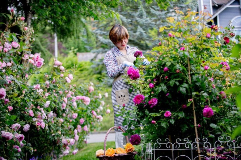 Mẹ việt dành 10 năm làm vườn từ 10m2 trồng rau thơm đến khu vườn cổ tích 10000m2 - 14
