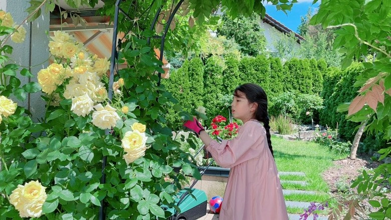 Mẹ việt trồng đủ loại hoa hồng ở đức khu vườn 300m2 đẹp như truyện cổ tích - 3