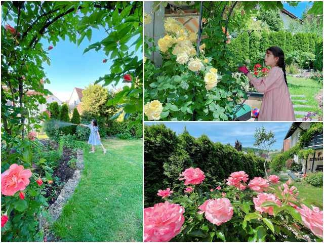 Trai đẹp sài gòn trồng hồng ngoại trên sân thượng được khu vườn ngát hương hoa cắm không xuể - 12