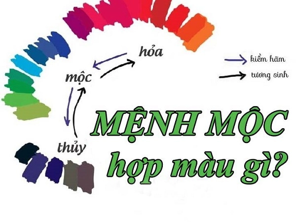 Mệnh mộc hợp hướng nào để làm việc mua nhà đem lại may mắn tài lộc - 2