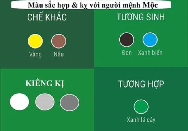 Mệnh mộc hợp màu gì để đạt được nhiều may mắn thuận lợi - 2