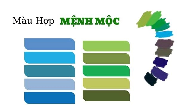 Mệnh mộc hợp nhà xe màu gì để mọi thứ được thuận lợi hanh thông - 2