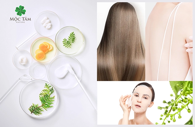 Mộc tâm nature hơn cả mỹ phẩm thiên nhiên đó là sự dưỡng lành từ những điều mộc mạc - 5