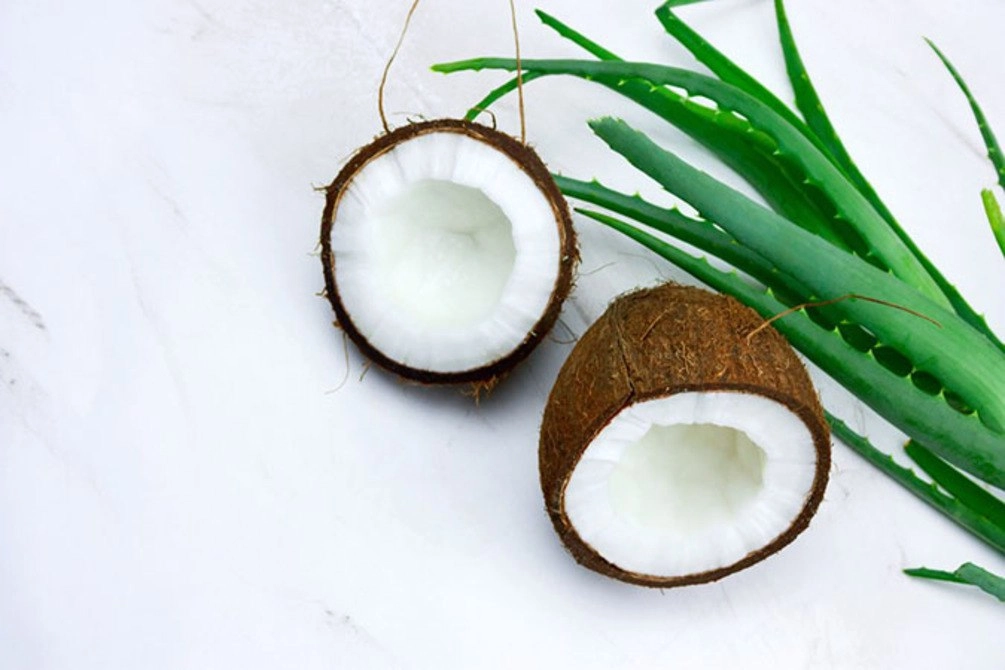 Muốn sở hữu một mái tóc sạch khỏe nàng không nên bỏ qua cách dưỡng tóc bằng nha đam này - 2