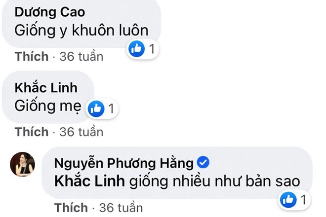 Ngắm con gái kín tiếng của đại gia phương hằng là bản sao của mẹ xinh xắn đáng yêu - 3