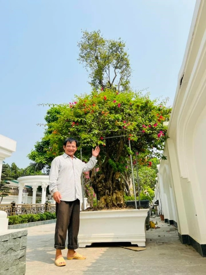 Nghệ sĩ quang tèo khoe vườn hoa trong biệt thự mới toàn cây to bự không kém nhà đại gia - 1