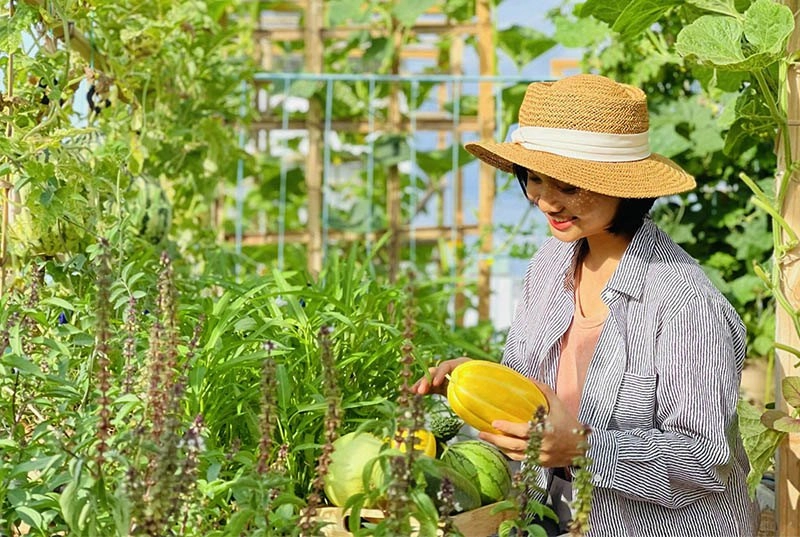 Nghỉ dịch mẹ đảm đà nẵng làm vườn rau xanh trên mái tuyệt đẹp cả nhà ăn mãi không hết - 10