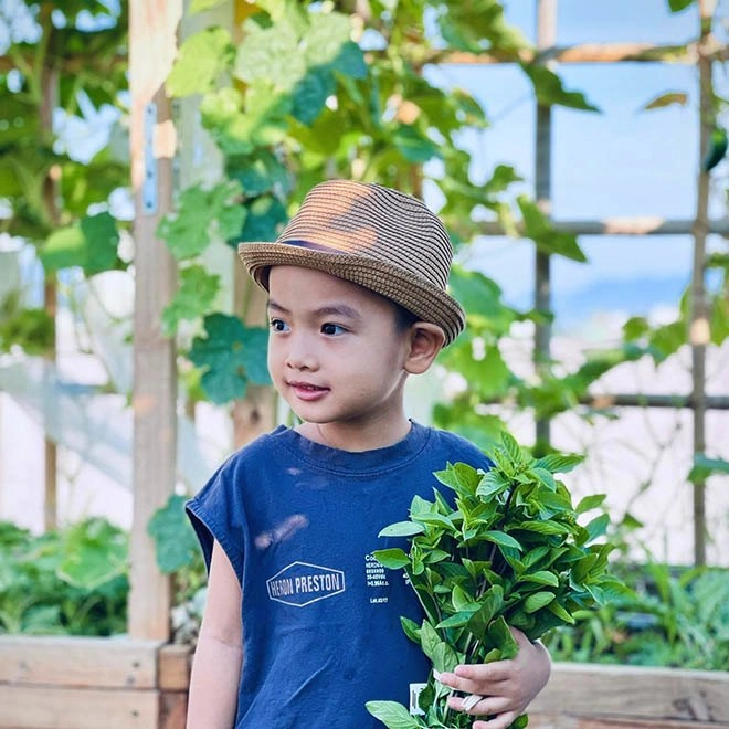 Nghỉ dịch mẹ đảm đà nẵng làm vườn rau xanh trên mái tuyệt đẹp cả nhà ăn mãi không hết - 15